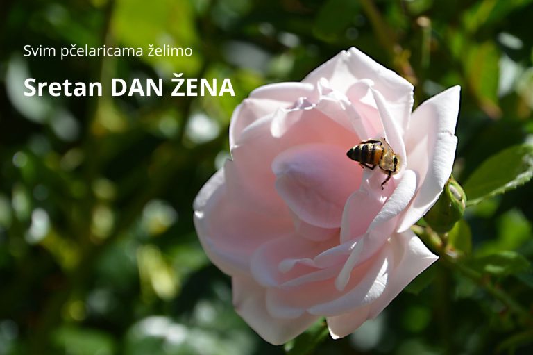 2024_Sretan-dan-zena