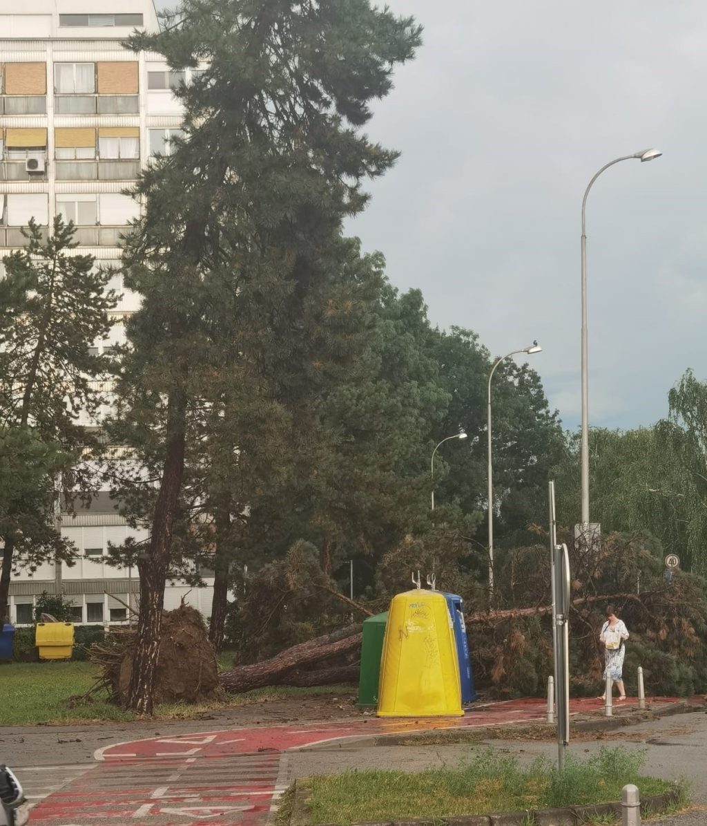 Urbana šuma2