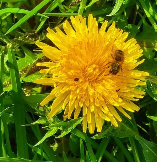 IMG_20230330_125720-1